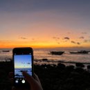 상어 | 세부여행 오슬롭 고래상어 투어 내돈내산 후기 / 입장료 / 티켓