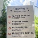 이매역 | 이매역 카페 카페드노피 분당애견동반카페로 변신한 이매동브런치