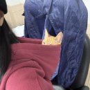 김해톱밥 이미지