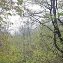 탕춘대 화장실 이미지