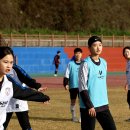 청양공설운동장 이미지