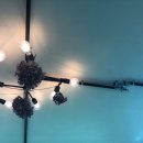 푸르메가살고있는곳 이미지