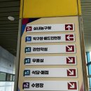 광주학생교육문화회관실내수영장 이미지