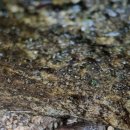 은현피싱타운 이미지