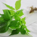 태연농장 이미지