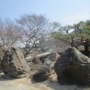 푸른꽃농원 - 고양시 일산동구 식사로 3 | 푸른꽃농원
