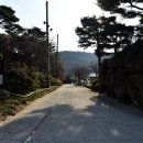 안국사지 이미지