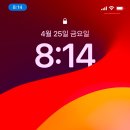 임당유통 이미지