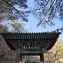 삼화사철조노사나불좌상 | 동해시 두타산 삼화사(三和寺)