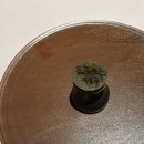 진도에덴화원 | [학동역 파인다이닝] 우드파이어의 정수, '본연 BORNYON' 디너코스 솔직후기 (기념일 방문)