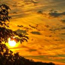 커피누리 이미지