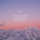 샤인스킨앤바디 - 강남구 | 샤인스킨앤바디
