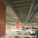 이쁜멍멍 | [의왕 롯데프리미엄아울렛]유명한 펫 브랜드가 모인 테일즈업 팝업 애견동반가능 테이스티라운드 후기