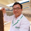 슈퍼꿀벌 ‘장원벌’ - 꿀 수집능력 31％ 향상..`장원` 보급 이미지