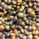 섬진강협동조합 이미지