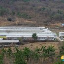 비육단지 이미지