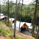 블랙트리하우스 이미지