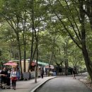 벽운클럽 이미지