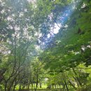 울릉자생식물원 네이버블로그