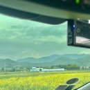 휘게51 | 전북 고창 해변에서 승마체험을 할 수 있는 액티비티 체험활동! [고창해변승마클럽휘게팜]