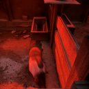 꿀꿀이목장 이미지