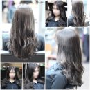 카리스다운 네이버블로그