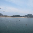 바람아래민박 이미지