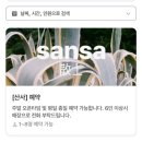 식물과함께 | [부산 전포] 식물과 함께하는 감성 술집 ‘산사’ 후기