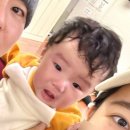 숲속예능어린이집 | 홈플 문화센터 1일 특강 숲속오감놀이마당 숲속동물원 문센 후기