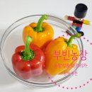 부해농장 이미지