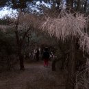 예덕초등학교 이미지