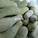 동아농장 이미지