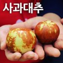 알찬들애