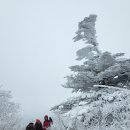 「지리산」/서설이 내린 지리＜1부＞/.. 그 하얀 품에서 노닐고.. 이미지