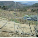 대문목장 이미지