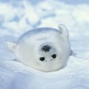 더 놀자 PC방 이미지