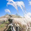 민둥산운동장 2 이미지