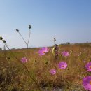 황산면 연당리 미륵불 이미지