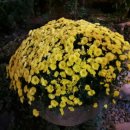 한옥식당 이미지