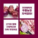 푸름농장 이미지