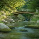 두명안휴식지(펜션 인근) | 전국 계곡 명소와 피서지 추천 모음