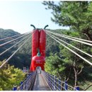 호수에 담다 이미지