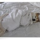 공감실용음악학원 이미지