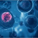 머크(주) 이미지