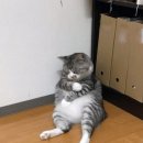 메디올의원 이미지