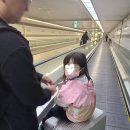 샹그릴라 | 아기와 함께 세부 여행_아시아나 항공, 샹그릴라 후기