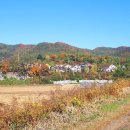 야생화단지내 이미지