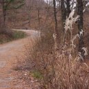 팔공산올레길 2코스 이미지