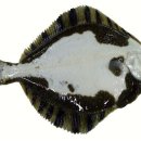 우도수산 이미지