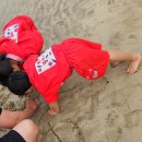 성읍리-18 | [26.3.29]성읍뚱보식당 성읍민속마을 표선해수욕장 표선하다 장흥식당 미성원횟집